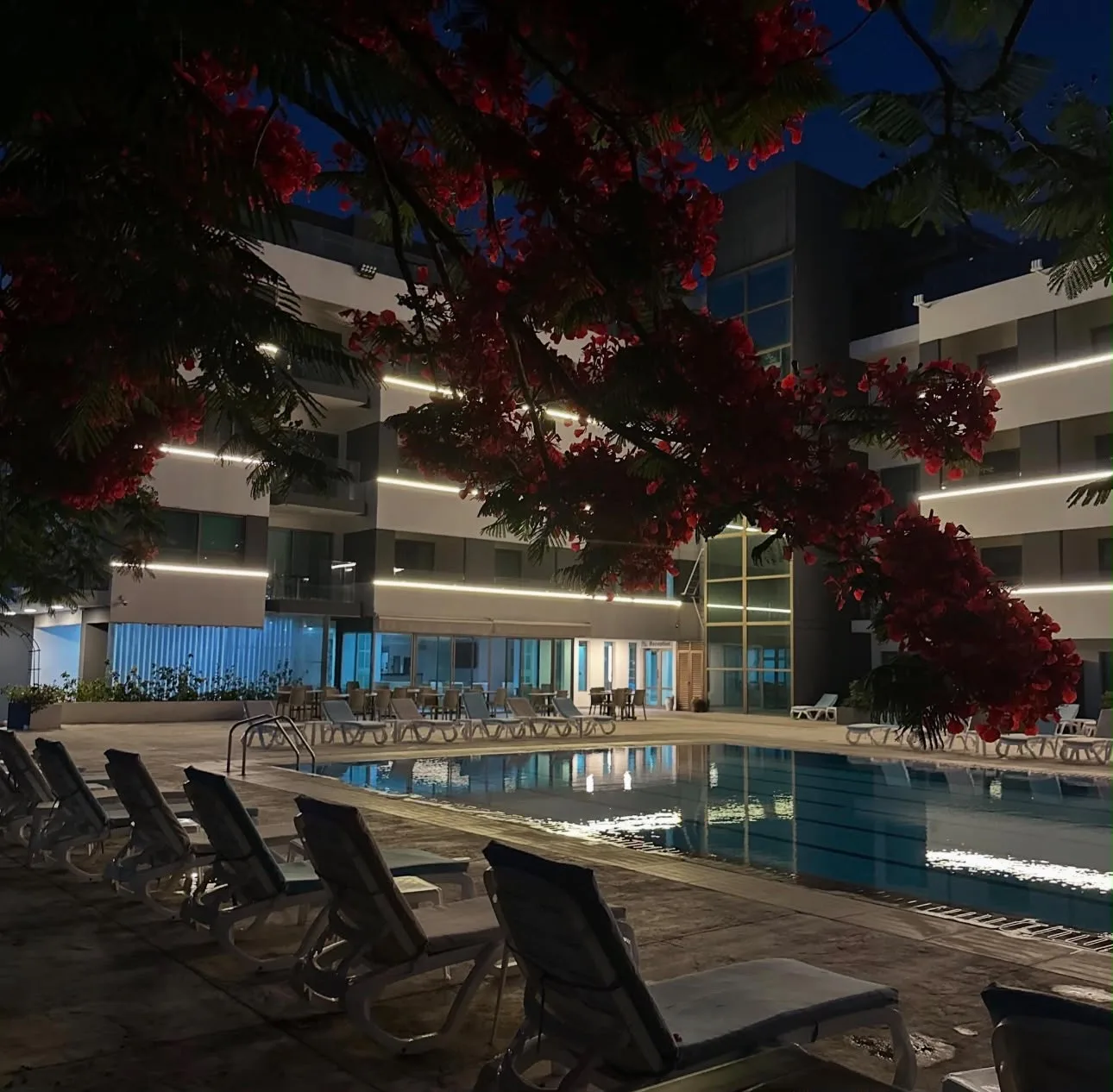 The pool at night, under red flowers